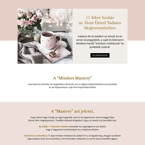 WP fejlesztő referencia 11 sikerszokas