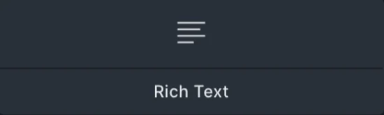 Bricks Builder Rich Text